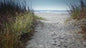 Southern Sea